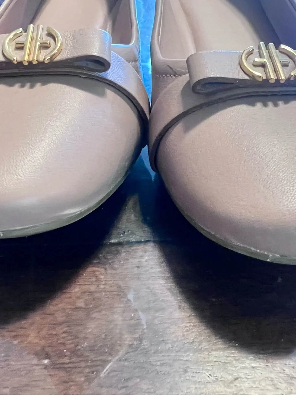 Cole Haan Blush Leather Ballet Flats with Gold Logo